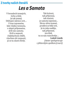 JL_LLanik