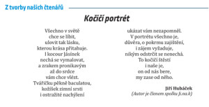 JL_kocici_portret