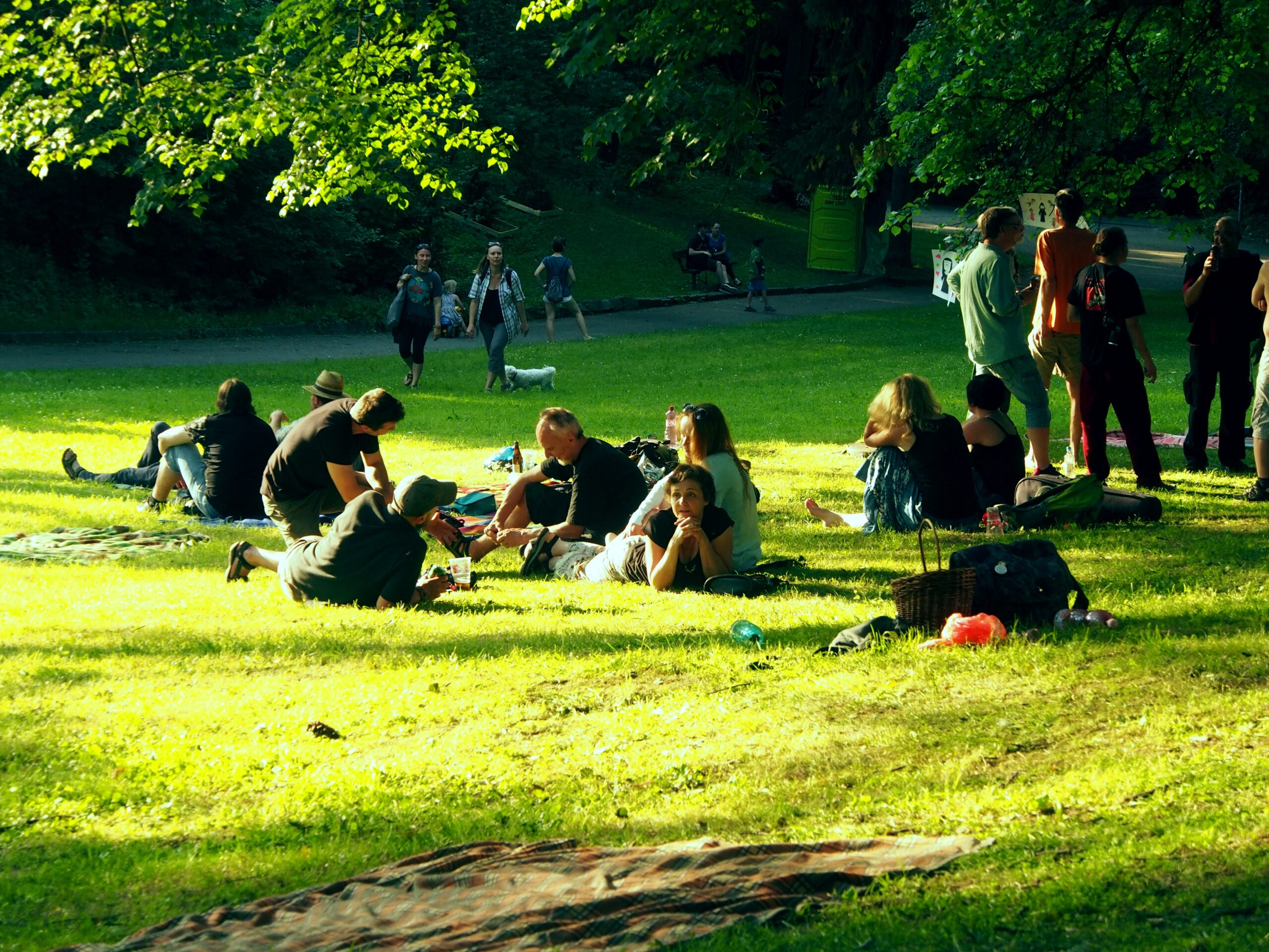 Piknik Moment